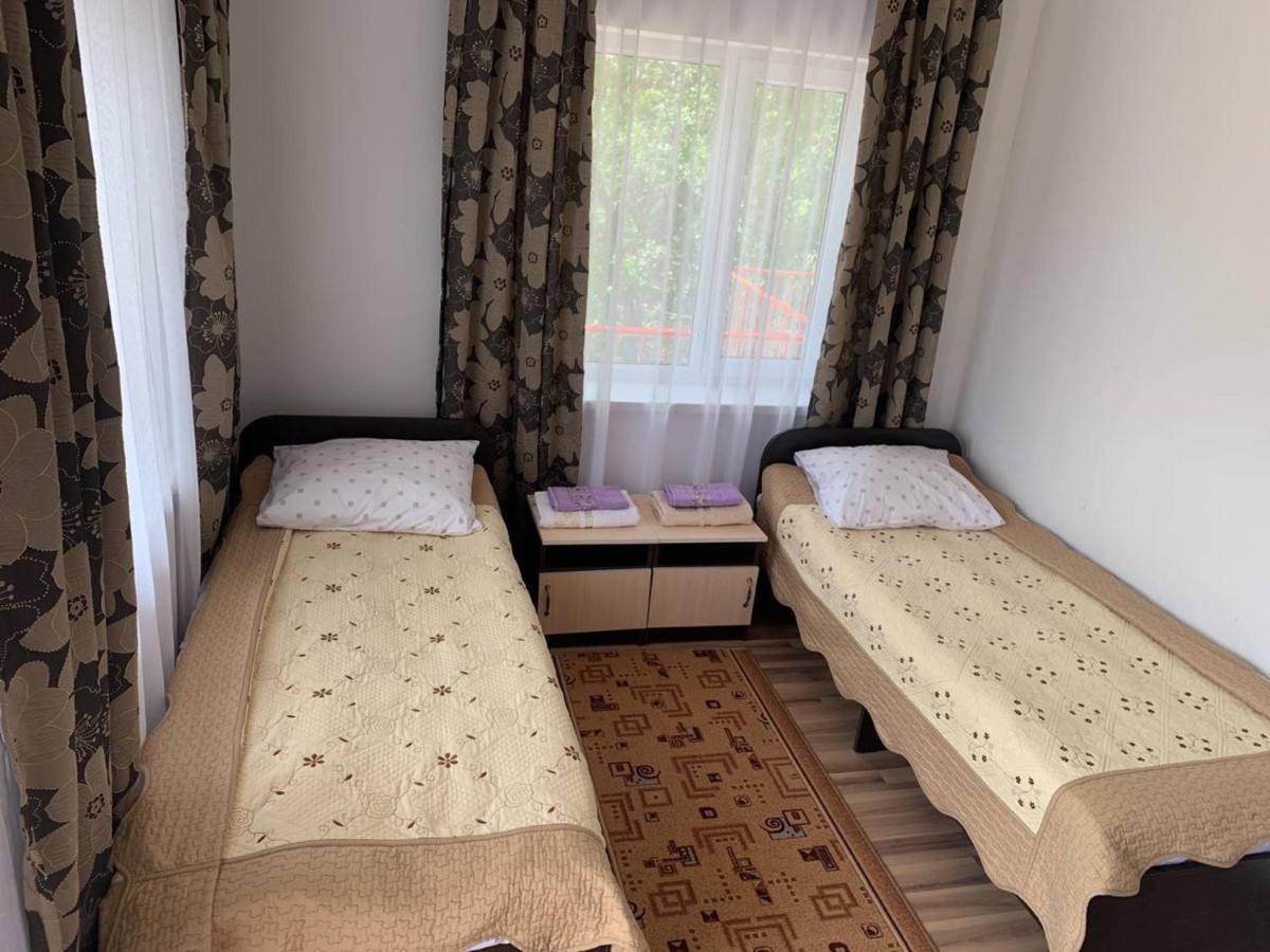 Delfin Murok Bosteri Buitenkant foto