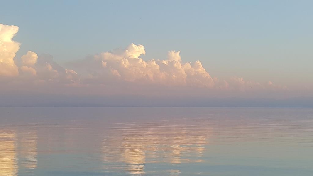 Delfin Murok Bosteri Buitenkant foto